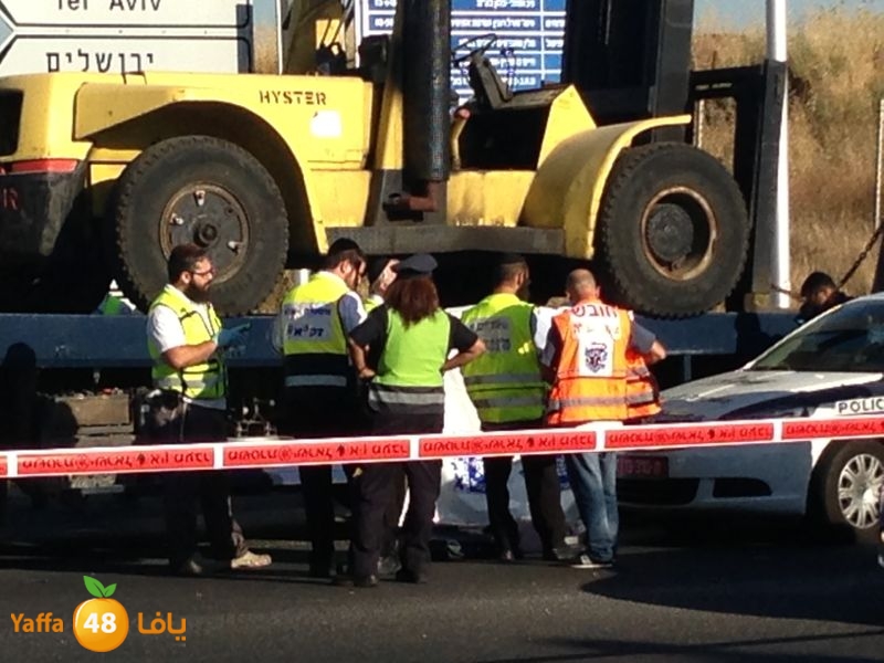 sha7enaramlalud527 (8).jpg